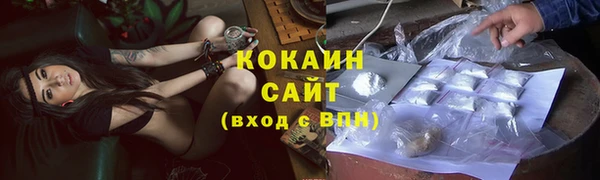 индика Абинск