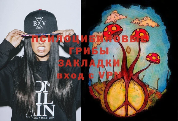 индика Абинск