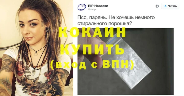 соль ск Алексин