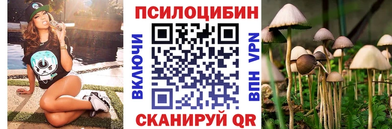 mega ссылка  как найти   Гдов  Галлюциногенные грибы Magic Shrooms 