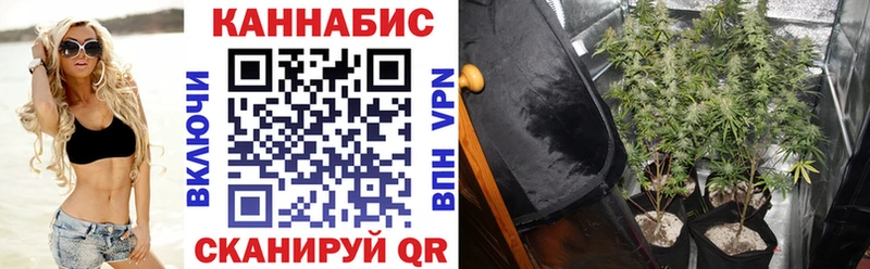 Каннабис Ganja  Гдов 
